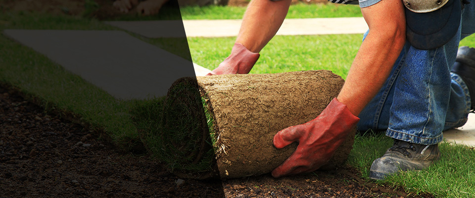 High Point Landscapers